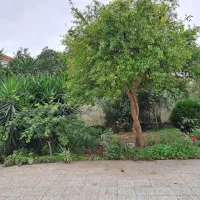 فروش واحد ۷۸ متری در شهرک انصاری|فروش آپارتمان|رودسر, |دیوار