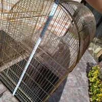 قفس حرفه ای|لوازم جانبی حیوانات|عباس‌آباد, |دیوار