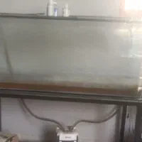 آکواریوم و تجهیزات|ماهی|یزد, |دیوار