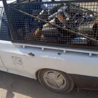 خرید ضایعات