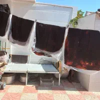 لواشک وآبغوره و شیره انگور انواع ترشی و رب|خوردنی و آشامیدنی|سبزوار, شرق کال عیدگاه|دیوار