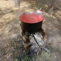 رب ارکانیک آتیشی|خوردنی و آشامیدنی|مشهد, دانشجو|دیوار