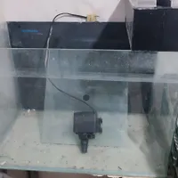 آکواریوم شیشه خم ماهیران و تاپ فیلتر بزرگ