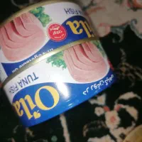 کنسرو تن ماهی اویلا و لادن|خوردنی و آشامیدنی|رشت, شهرک شهید رجایی|دیوار