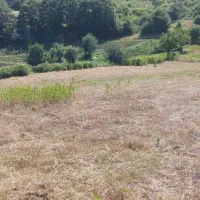 1000mزمین 60mقابل ساخت گردنه حیران|فروش زمین و ملک کلنگی|آستارا, |دیوار