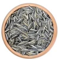 تخمه گل آفتاب درجه ۱ ۱۸۵.۰۰۰تومان