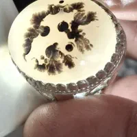 انگشتر شجرقائنات