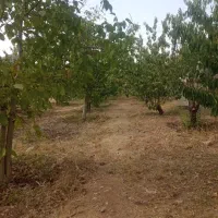 باغچه 400متری کرمجگان|فروش زمین و ملک کلنگی|قم, زنبیل آباد|دیوار