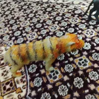 اسباب بازی