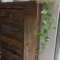 جاسیب زمینی وپیاز چوبی