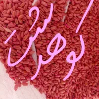 انواع گندم آبی و دیم یونجه کاه چغندر پخل تفاله