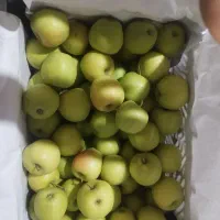 انارسیب هویج آبگیری قیمت عمده ارسال به سراسرتهران|خوردنی و آشامیدنی|تهران, میدان میوه و تره‌بار مرکزی|دیوار