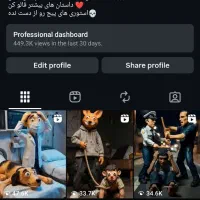 پیج اینستاگرام با فالور واقعی