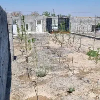 زمین فروشی|فروش خانه و ویلا|گلمکان, |دیوار