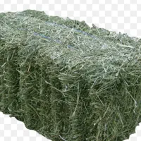 فروش یونجه خالص