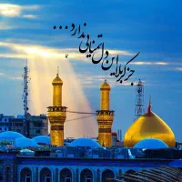 تور کربلای اقتصادی یکسر هوایی