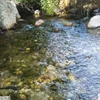 زمین-باغ-فین-بالته-سندار