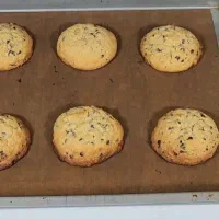 کوکی با طعم های متفاوت|عمدهفروشی|آمل, |دیوار