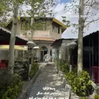 نیروی قلیان زن و چایخانه رستوران-کارگرساده رستوران