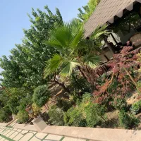 باغ ویلا استخر آب گرم|اجارهٔ کوتاه‌مدت ویلا و باغ|شهریار, اسکمان|دیوار