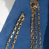 زنجیر  دیپلمات