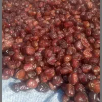 خرما مرداسنگ آلوچه ای زاهدی کبکاب پیارم|خوردنی و آشامیدنی|یزد, |دیوار