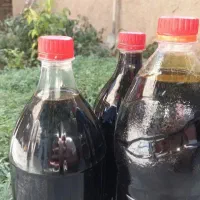 شیره انگور بیدانه
