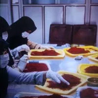 سرمایه گذاری و استخدام در صادرات زعفران