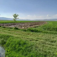 اجاره زمین کشاورزی
