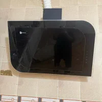 هود سالم