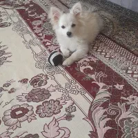 0915096918 ‌‌لطفا با این تماس بگیرید