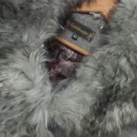 پالتو فوتر زنانه|لباس|مشهد, نوید|دیوار