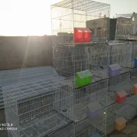 قفس جفتگاه