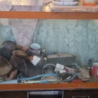 آکواریوم یک در پنجاه