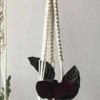 سفارش آویز گلدان  مکرومه