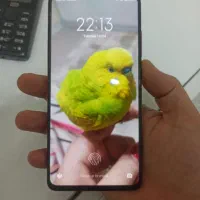 mi9t|موبایل|پرند, فاز ۶|دیوار