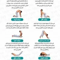 راهنمایی وکمک داوطلبانه