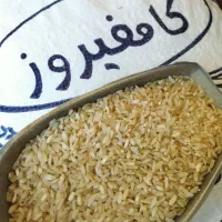 برنج کامفیروزی