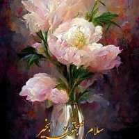 پرستار سالمند