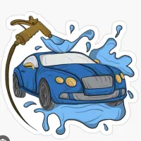 نیروی کارواش