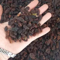 کشمش بدون هسته