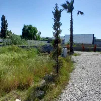 زمین-400-اقساطی-سرمایه-گذاری-امن-مشجر-آینده-ساز