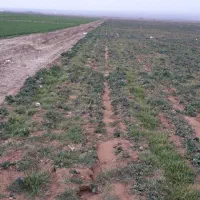 زمین-با-موقعیت-صنعتی-تجاری-و-مسکونی