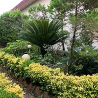 فروش-فوری-زمین-با-جواز-ساخت-در-گلدشت