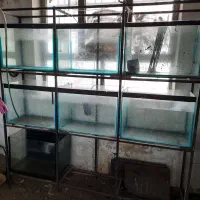 اکواریوم