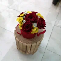 باکس و گل شاخه ایی حراج|گل و گیاه طبیعی|شیراز, لاله|دیوار