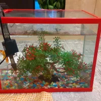 آکواریوم شرکتی  شیشه خم کاملا نو