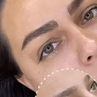 میکرو و فیبروز ابرو با جدیدترین متد و متریال|خدمات آرایشگری و زیبایی|رشت, کاکتوس|دیوار