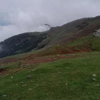 استخدام چوپان