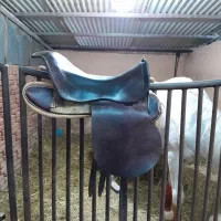 زین چمبرلن انگلیسی فروشی|اسب و تجهیزات اسبسواری|شیراز, شهرک آرین|دیوار